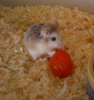 Steckbrief - Mucki 132x141