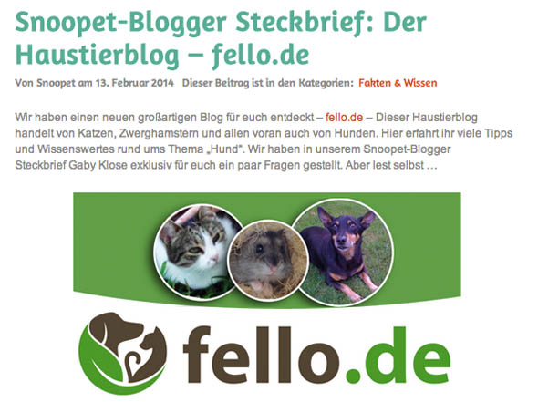 Interview mit fello