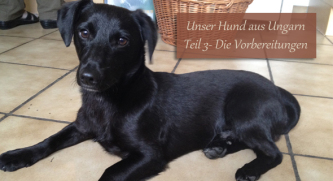 Unser Hund aus Ungarn - Teil 3 - Die Vorbereitungen