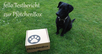 Pfoetchenbox-Test